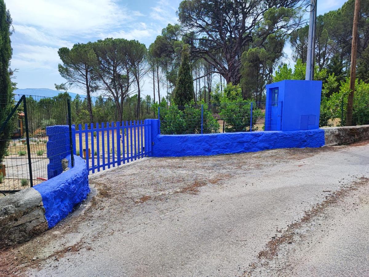 Casas Do Pinheiro Grande Villa Форнос де Алгодрес Екстериор снимка