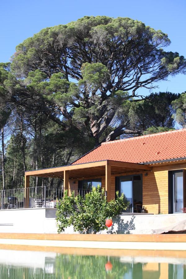 Casas Do Pinheiro Grande Villa Форнос де Алгодрес Екстериор снимка